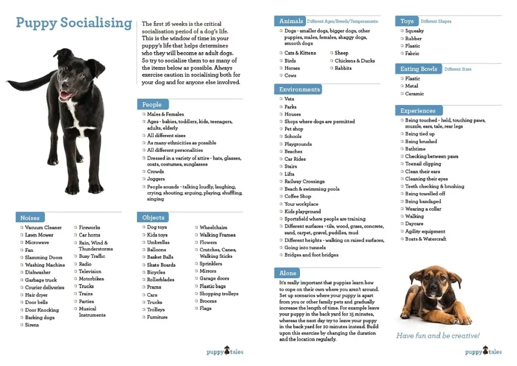 https://puppytales.com.au/puppy-socialisation-a-free-downloadable-checklist-for-you-o/