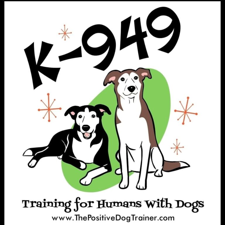 k-949: Training for Humans with Dogs https://www.thepositivedogtrainer.com/