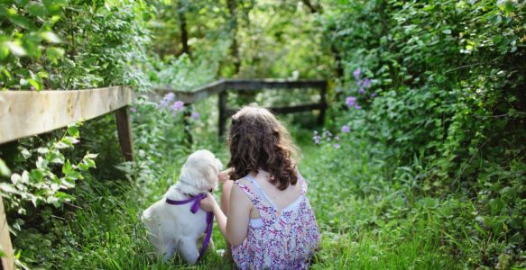 Family Awareness – Kids & Dogs