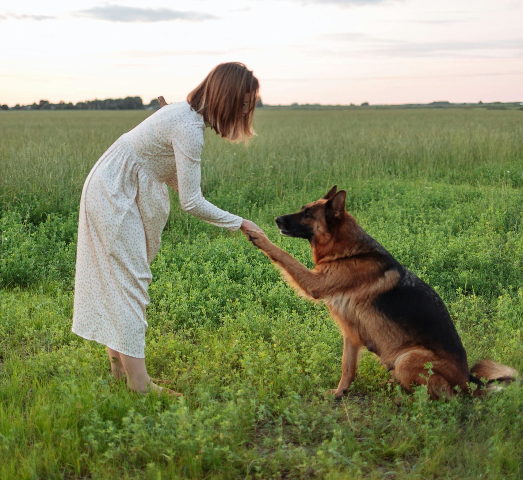 Choosing a Dog Trainer – Tips & Flags