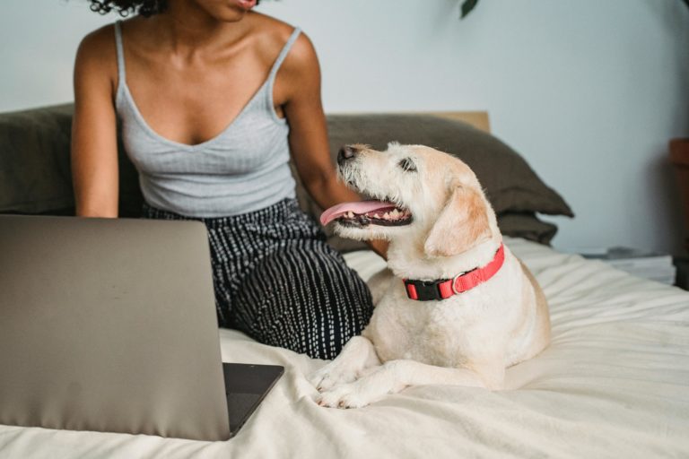 Lady with a dog and a laptop, researching training websites and videos