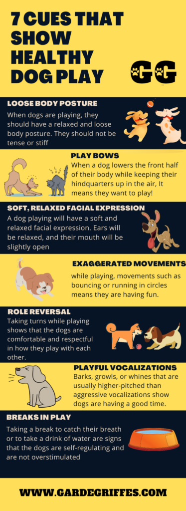Dog Body Language httpsgardegriffes.comhealthydogplay.png Your Happy Dog Coach Yarmouth Nova Scotia Positive Reinforcement Professional Dog Trainer Force Free