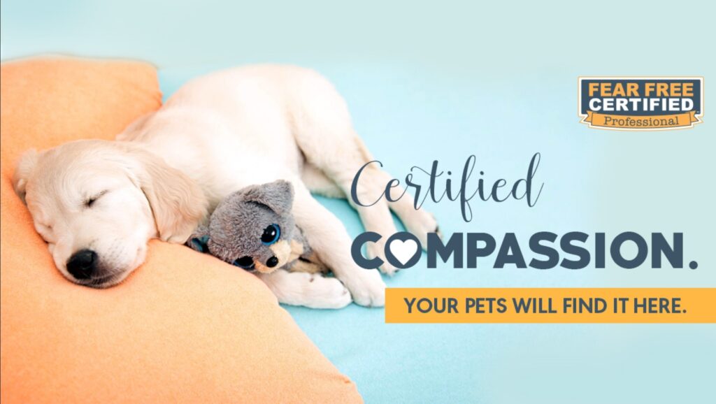 Fear Free Certified Professional Trainer Your Happy Dog Coach