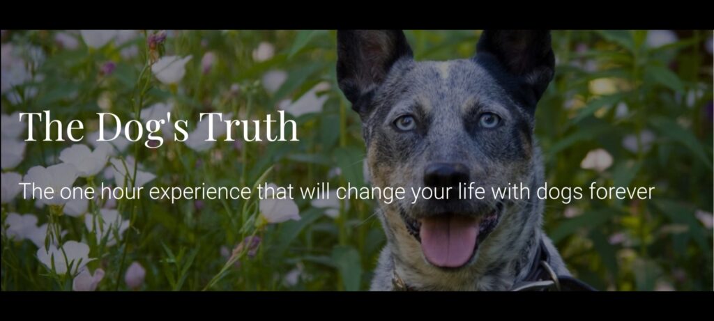 The Dogs Truth Kim Brophey Family Dog Mediation Your Happy Dog Coach