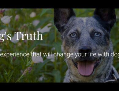 The Dog’s Truth